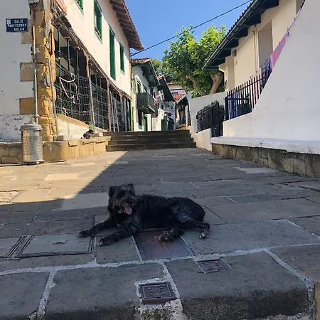 Privatunterkunft Estudio Independiente Forget Me Not *