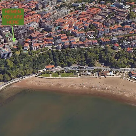 Estudio Independiente Forget Me Not * Getxo