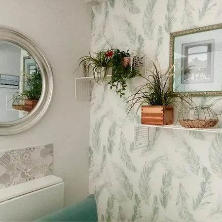 Estudio Independiente Forget Me Not *