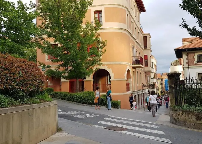 Estudio Independiente Forget Me Not