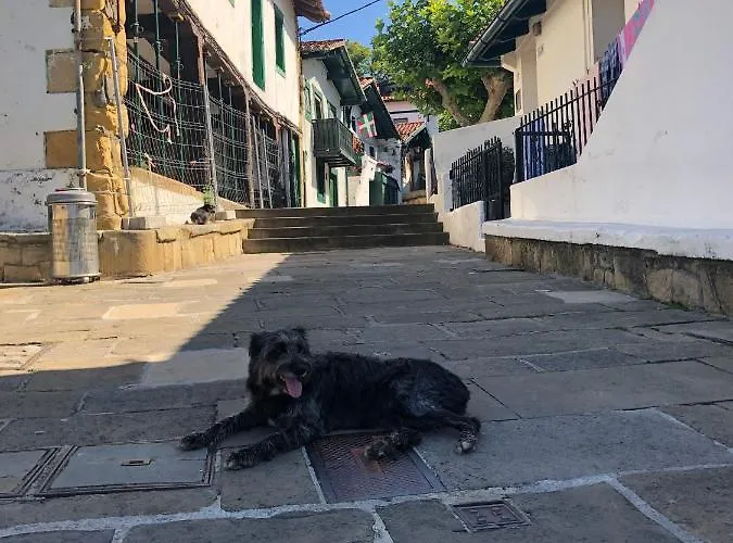 Homestay Estudio Independiente Forget Me Not *