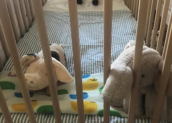 Estudio Independiente Forget Me Not Homestay