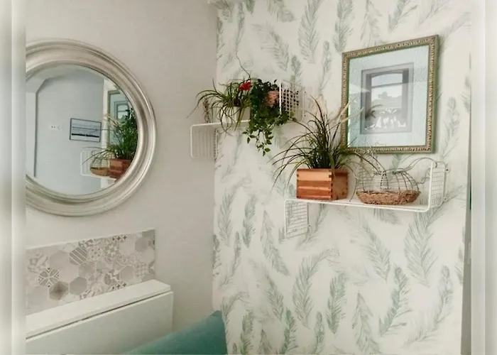 Estudio Independiente Forget Me Not *