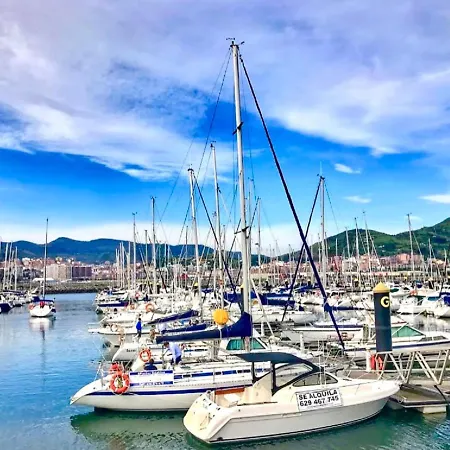 Estudio Independiente Forget Me Not