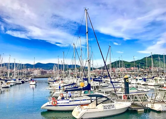 Estudio Independiente Forget Me Not