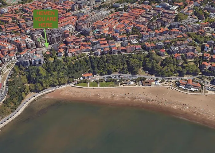 Estudio Independiente Forget Me Not * خيتكسو