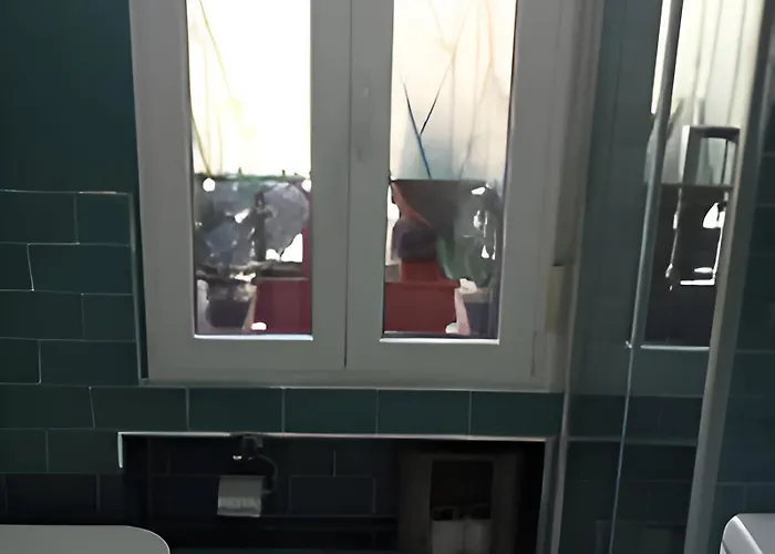 Estudio Independiente Forget Me Not *